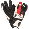Перчатки DAKINE TEAM SABRE GLOVE POLLARD Размер M 1100-002-10 (0610934573923)