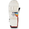 Варежки DAKINE POINTER MITT HCSC RAINBOW Размер XL 10001995 (0610934301168)