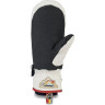 Варежки DAKINE POINTER MITT HCSC RAINBOW Размер XS 10001995 (0610934301205)